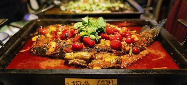 探魚烤魚 探魚烤魚
