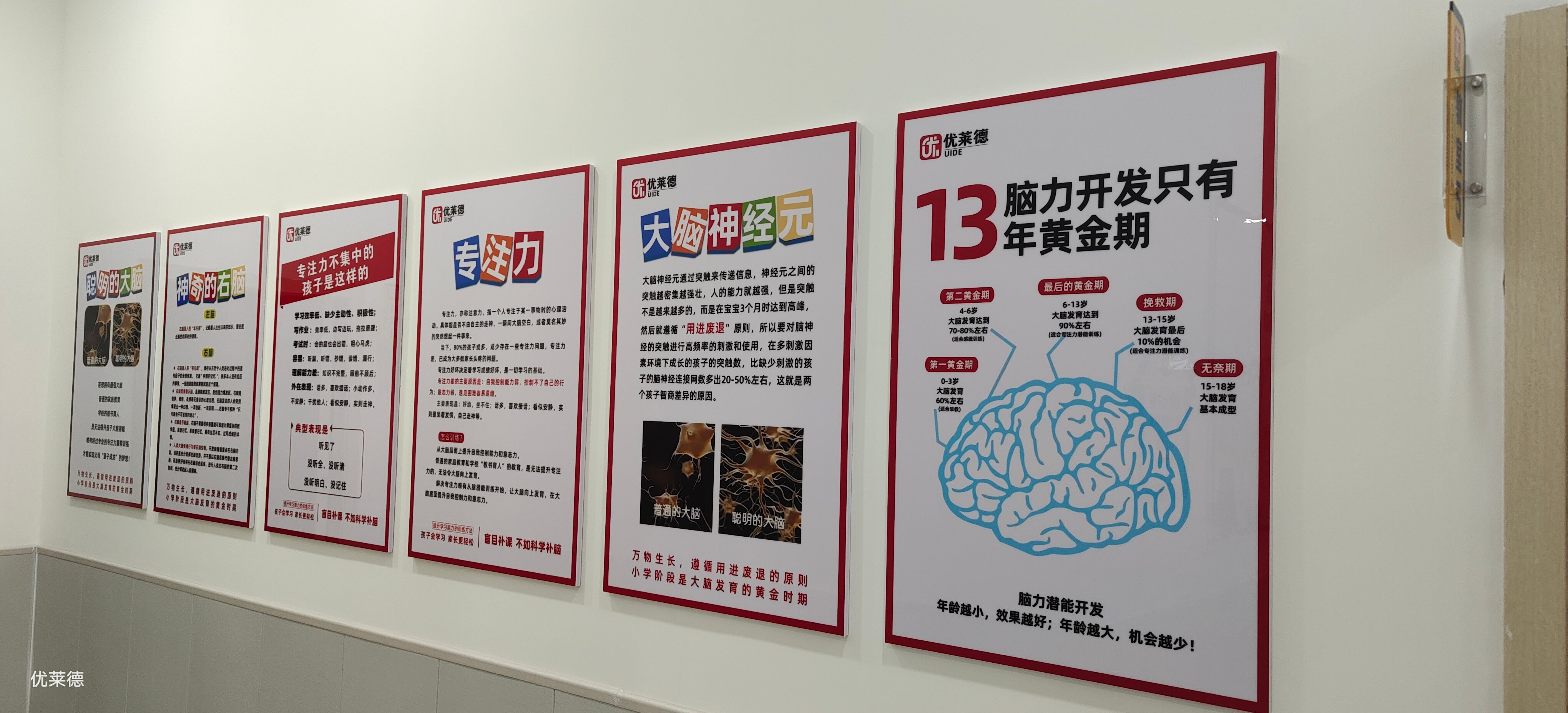優(yōu)萊德專注力 優(yōu)萊德專注力