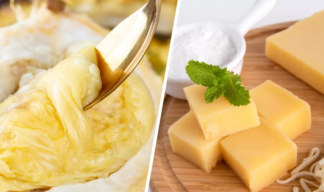 選擇好品牌、輕松開門店丨尊寶比薩入駐ZFE中部國際連鎖加盟展(圖11)